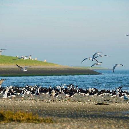 Breeze Ameland Hotel Hollum  Kültér fotó
