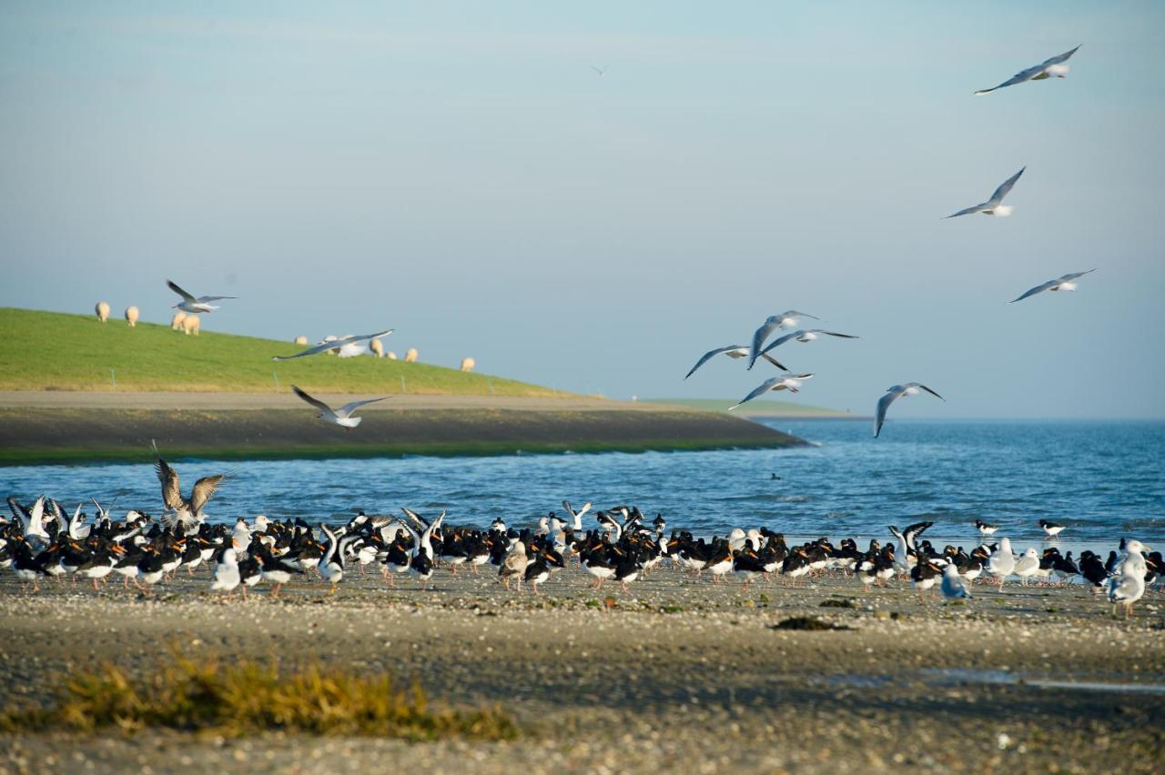 Breeze Ameland Hotel Hollum  Kültér fotó